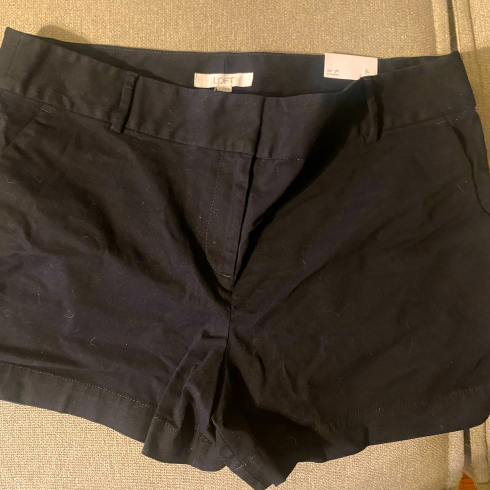 LOFT dress shorts curvy